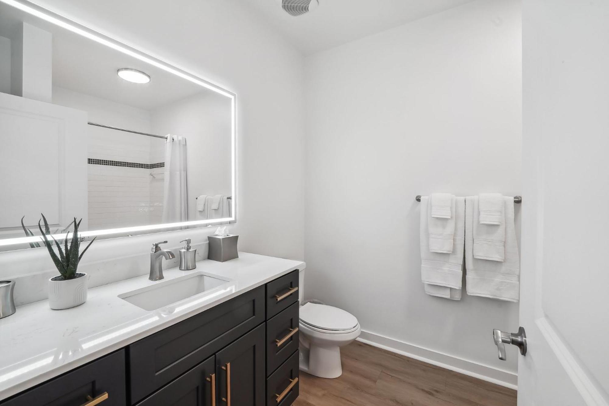 Premium Apartments And Studios At Midtown 205 In Charlotte Ngoại thất bức ảnh